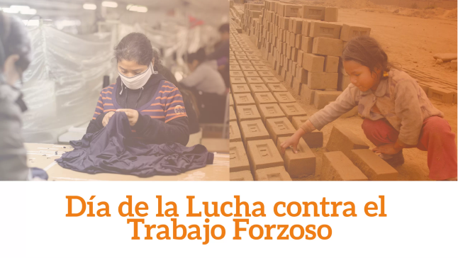 Comisiones Regionales Especializadas en la Lucha contra el Trabajo Forzoso y CHS Alternativo se unen para lanzar una campaña informativa y de prevención del delito de trabajo forzoso en Cusco y Loreto